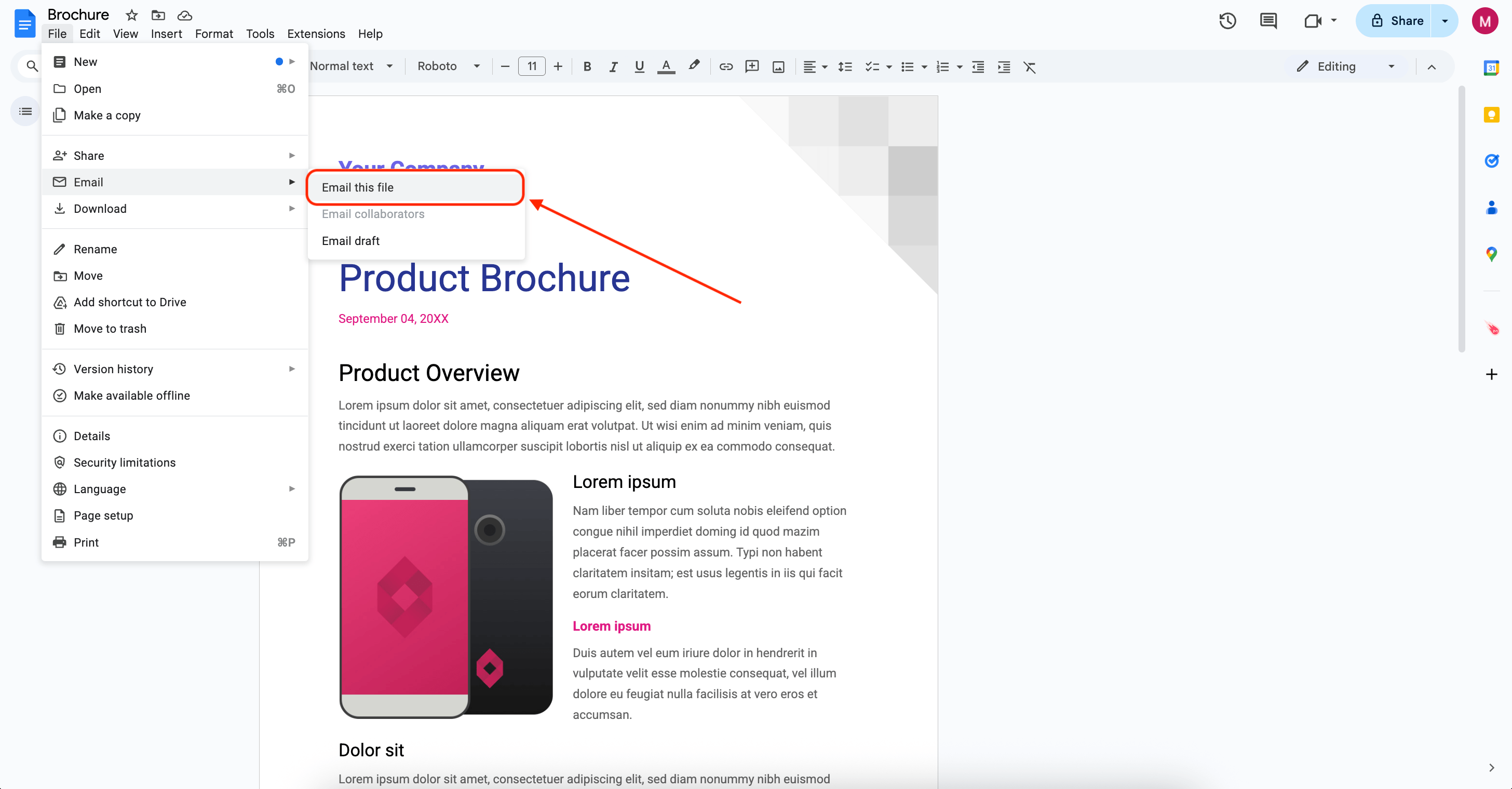 Google Docs Email this File
